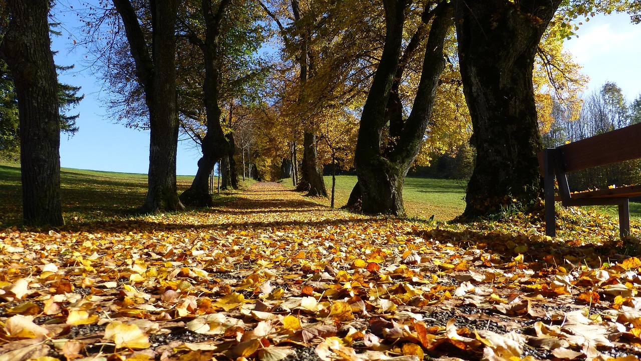 Wanderherbst Nesselwang Wanderherbst Nesselwang